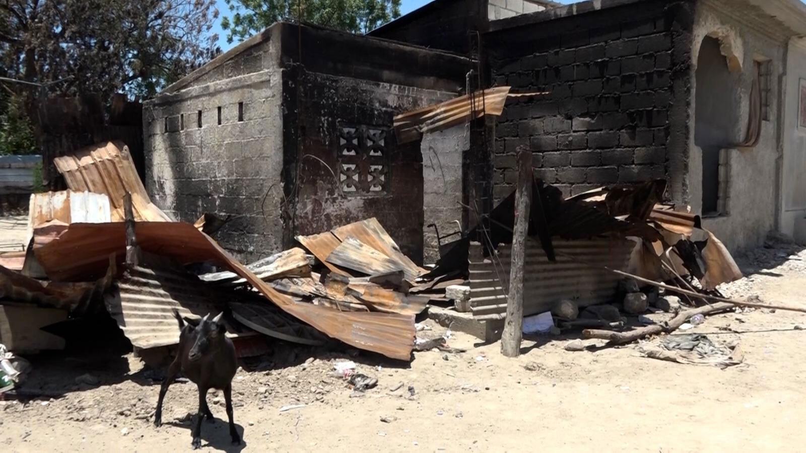 Koza stoi przed spalonym i częściowo zniszczonym budynkiem pokrytym blachą falistą w Cité Soleil na Haiti.